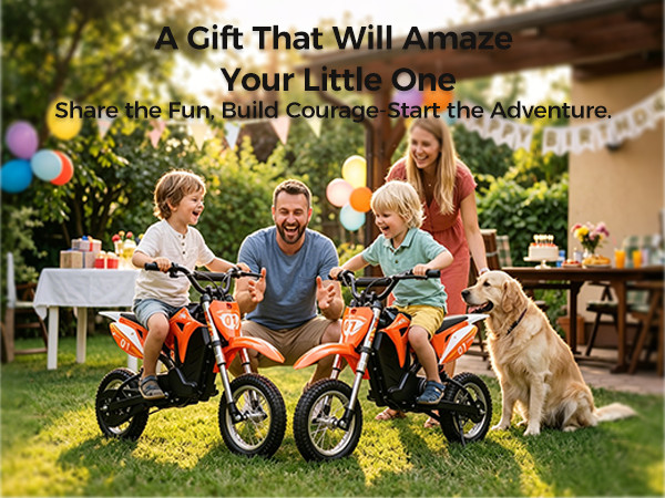 Kids Motorcycle Mini Electric Dirt Bike 36V 300W 3Speed 12.4 Miles Gift
