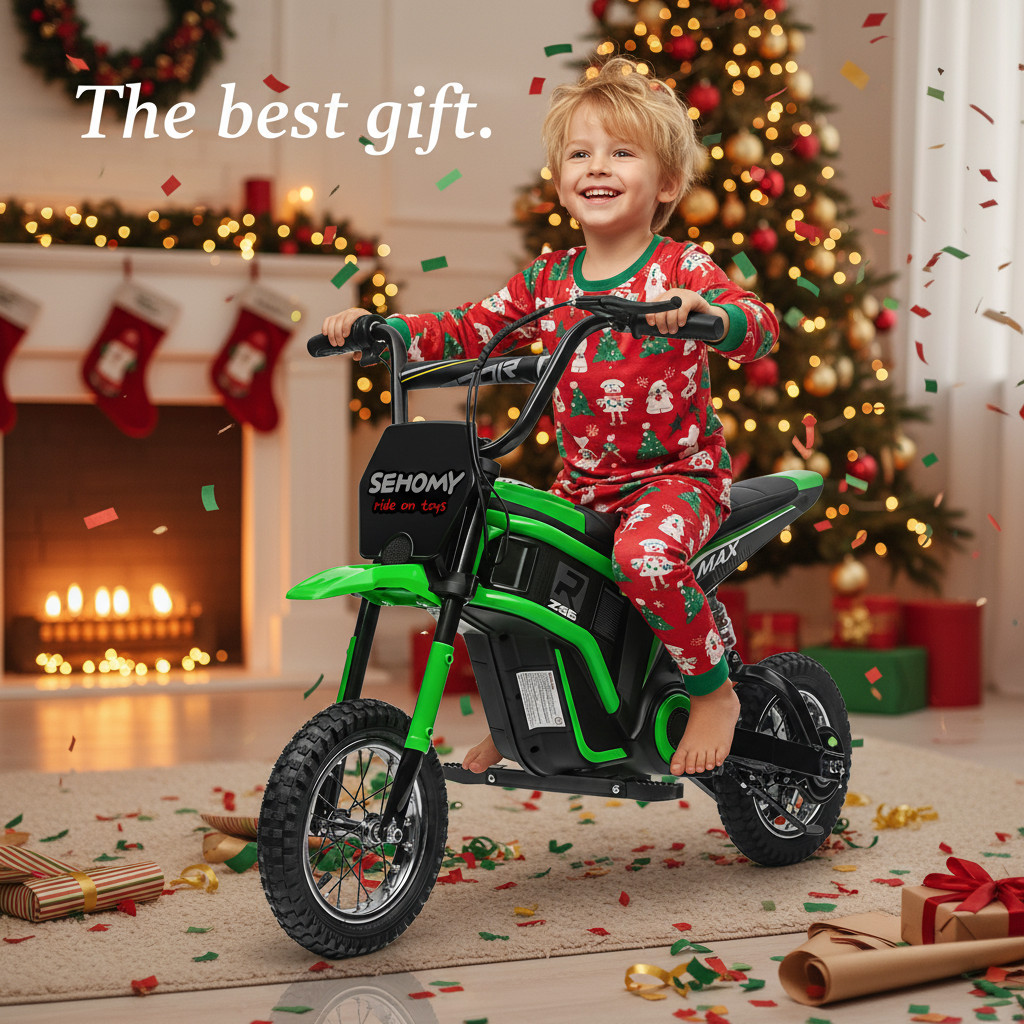 24V Electric Dirt Bike Off-Road Motorcycle For Kids 350W Motor Pneumatic Tire​