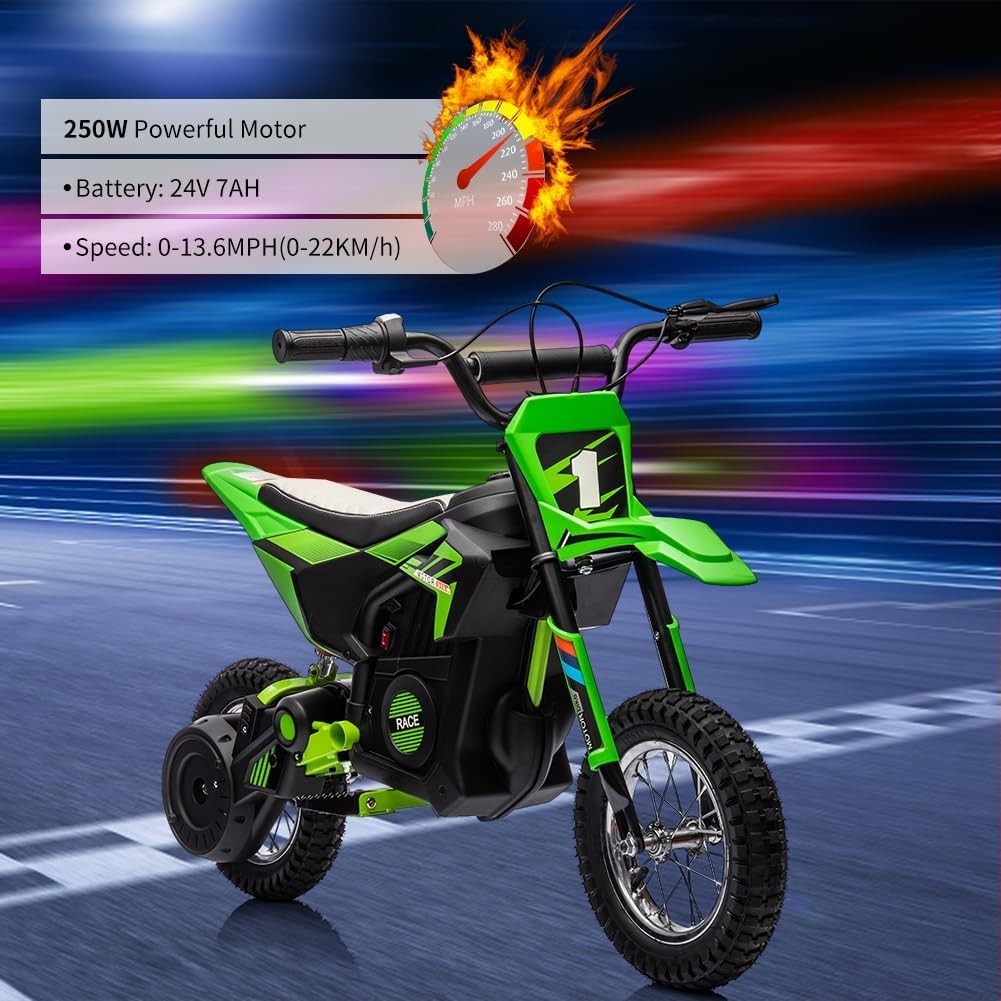24V Kid Ride on Electric Off-Road Motorcycle 250W Fast Speed Dirt Bike Motocross