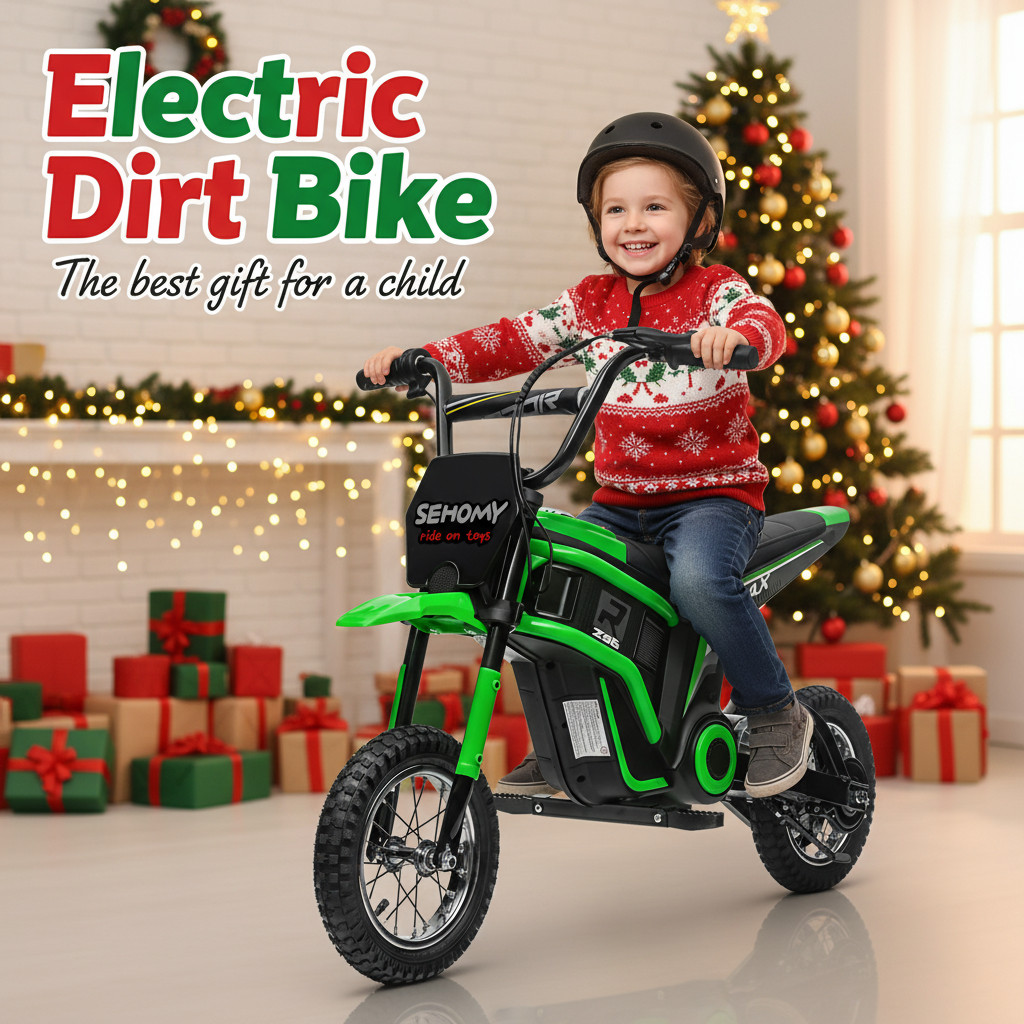 24V Electric Dirt Bike Off-Road Motorcycle For Kids 350W Motor Pneumatic Tire​