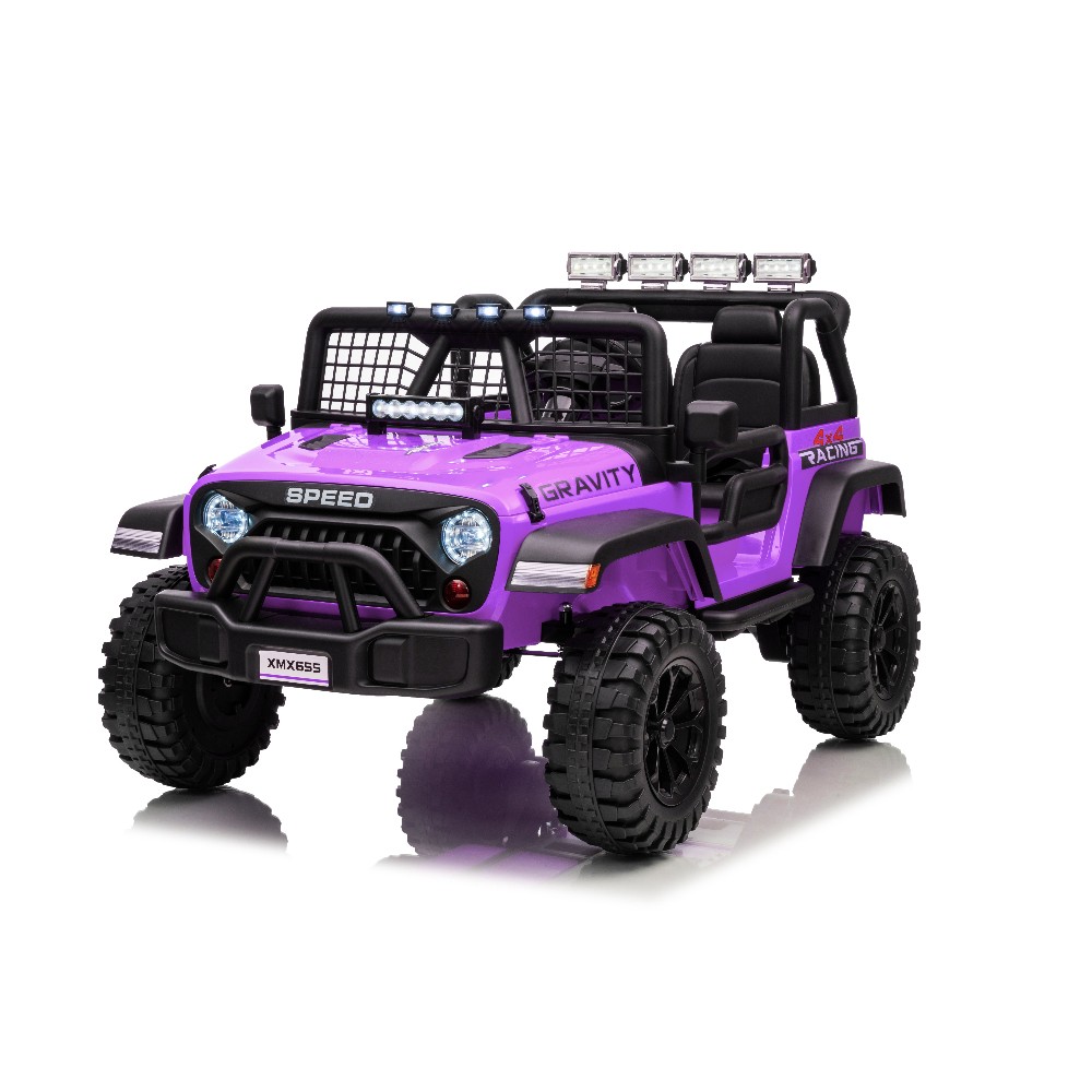 24V Ride on Car for Kids,2 Seater Electric Truck, Electric Vehicle for 3-8 Years