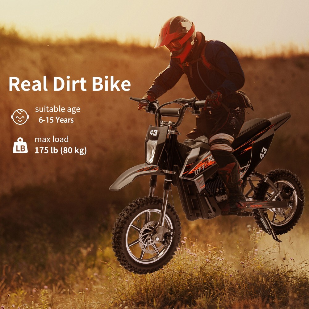 36V Electric Dirt Bike Ride on Motorcycle 500W Brushed Motor for 6+ Years Kids