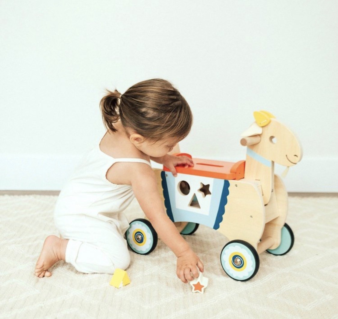 Wonder And Wise Goat Ride On With Toys For Toddler Boy Girl Gift Game Toy Play