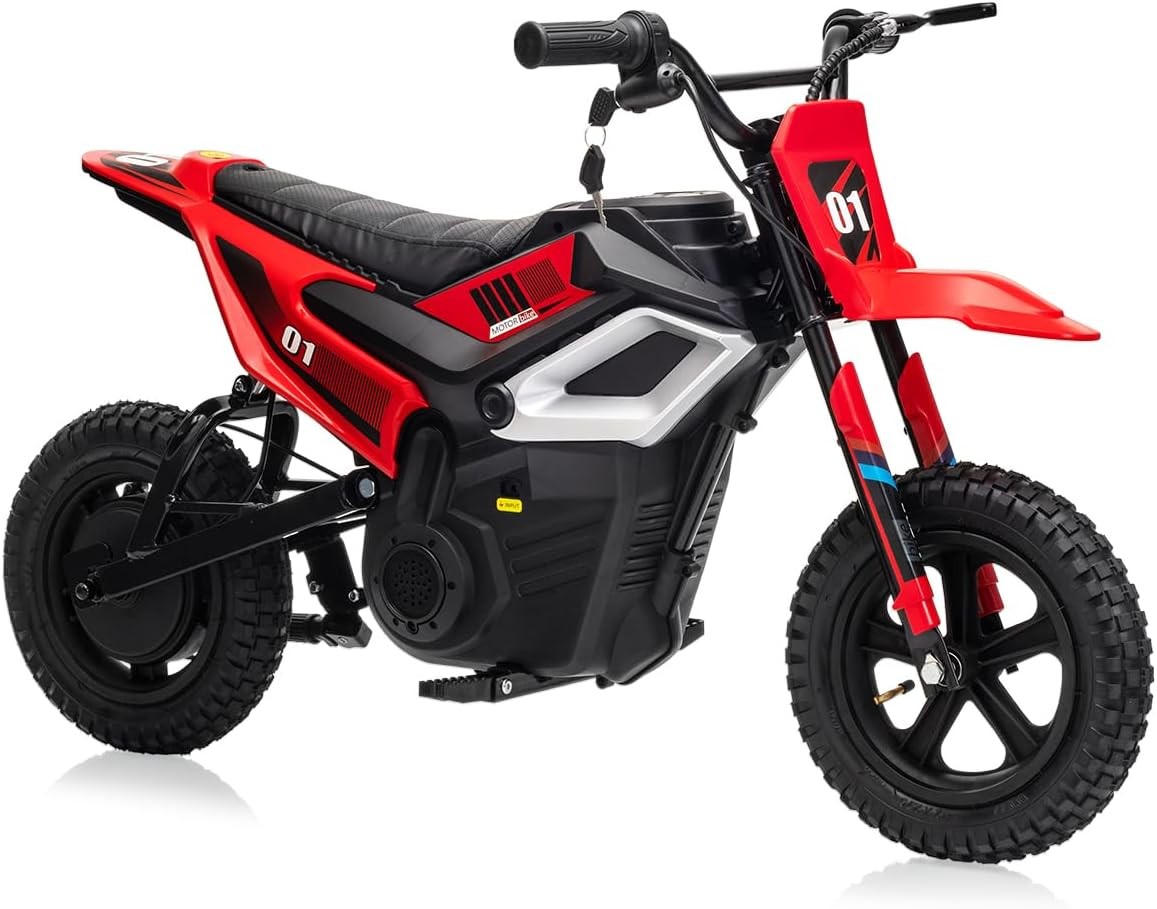 24V 350W Kids Electric Dirt Bike, 13.67 MPH, 12-Mile Range with Rear Suspension