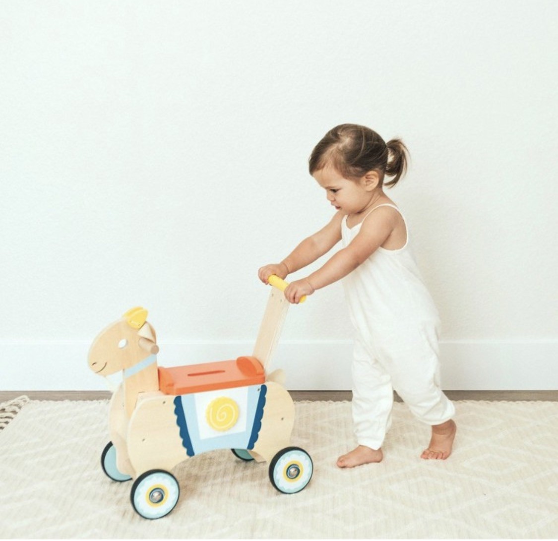 Wonder And Wise Goat Ride On With Toys For Toddler Boy Girl Gift Game Toy Play