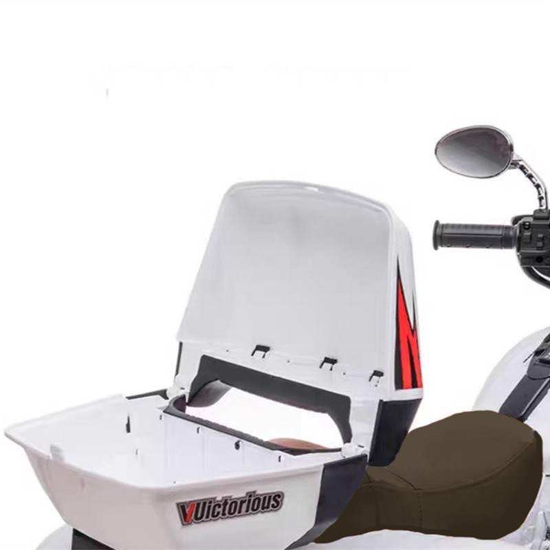 Kids Ride On Motorcycle 12V 2-Seat Electric Motorbike 3 Wheels for 3-8 Years Old