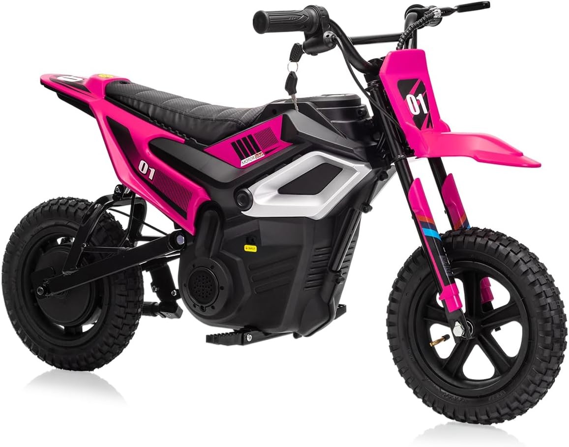 24V 350W Kids Electric Dirt Bike, 13.67 MPH, 12-Mile Range with Rear Suspension