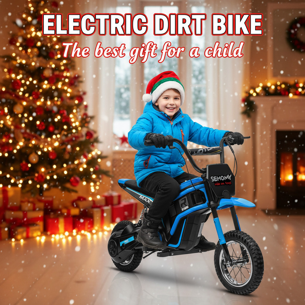 24V 350W Electric Dirt Bike Off-Road Electric Motorcycle w/ Twist Grip Throttle