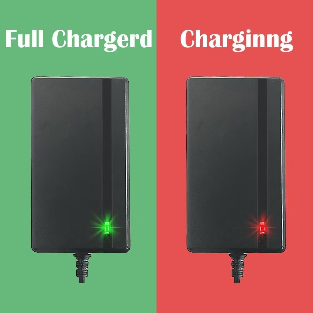 Universal 12V & 24V Charger for Kids Ride-On Cars, Power Wheels, LED Lights Adap