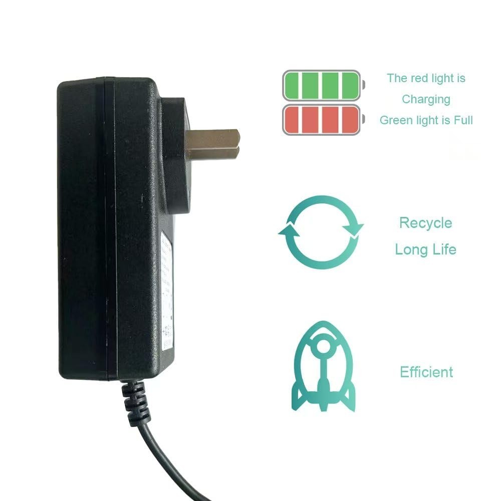 Universal 12V & 24V Charger for Kids Ride-On Cars, Power Wheels, LED Lights Adap