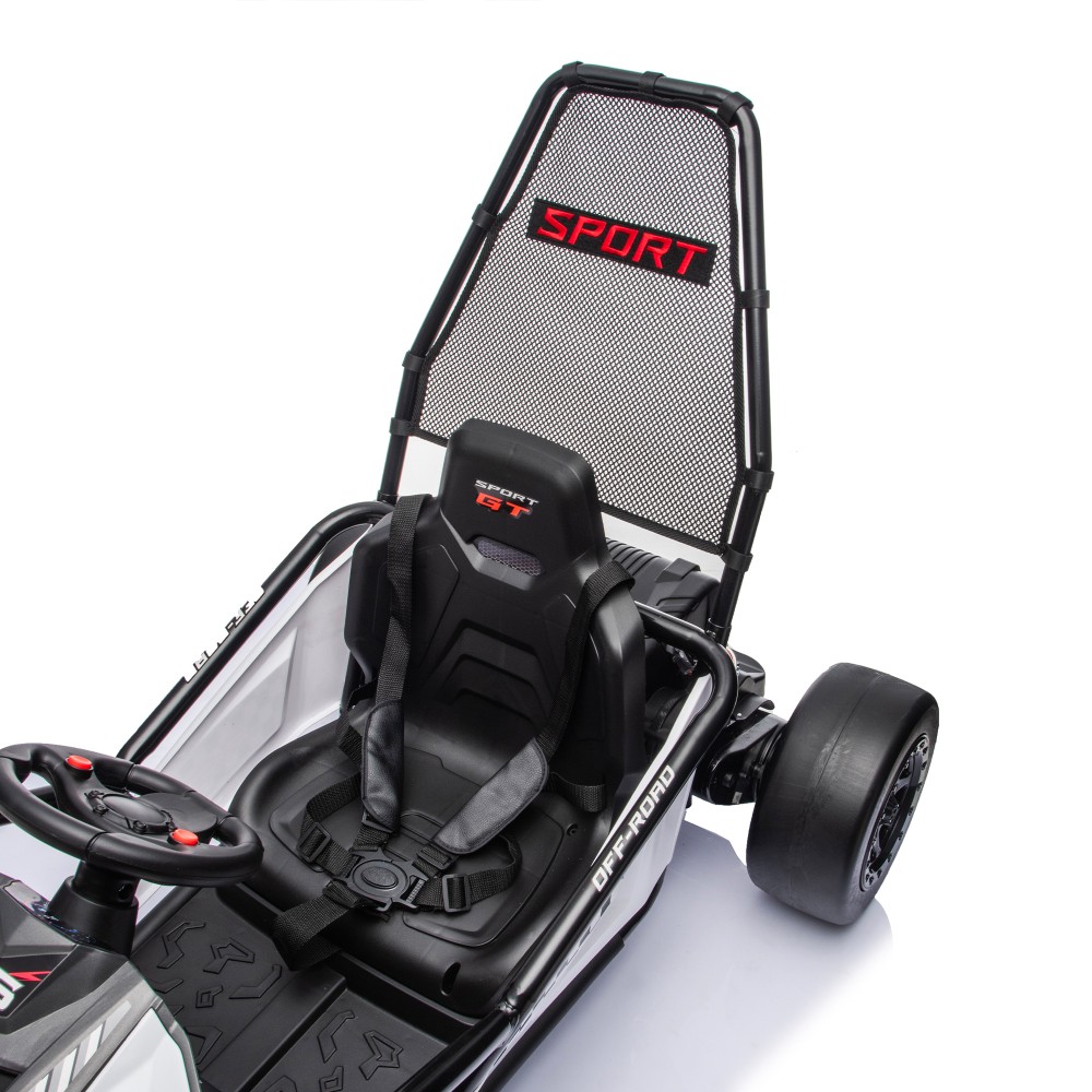 24V Electric Kids Go Kart Ride on Car Drift Car Roll Cage Harness for Age 6-12