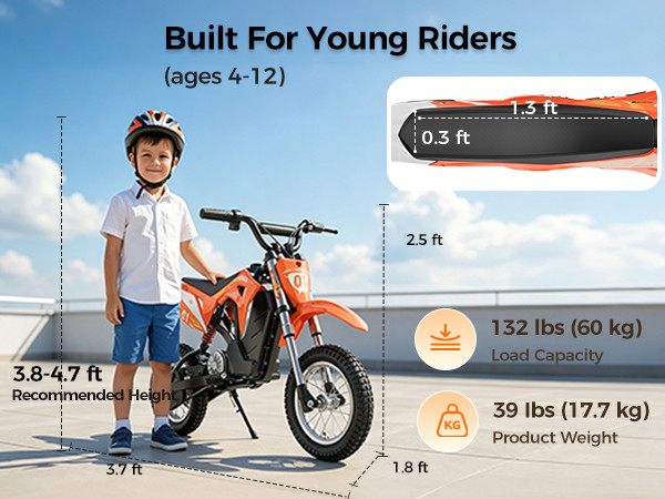 Kids Motorcycle Mini Electric Dirt Bike 36V 300W 3Speed 12.4 Miles Gift