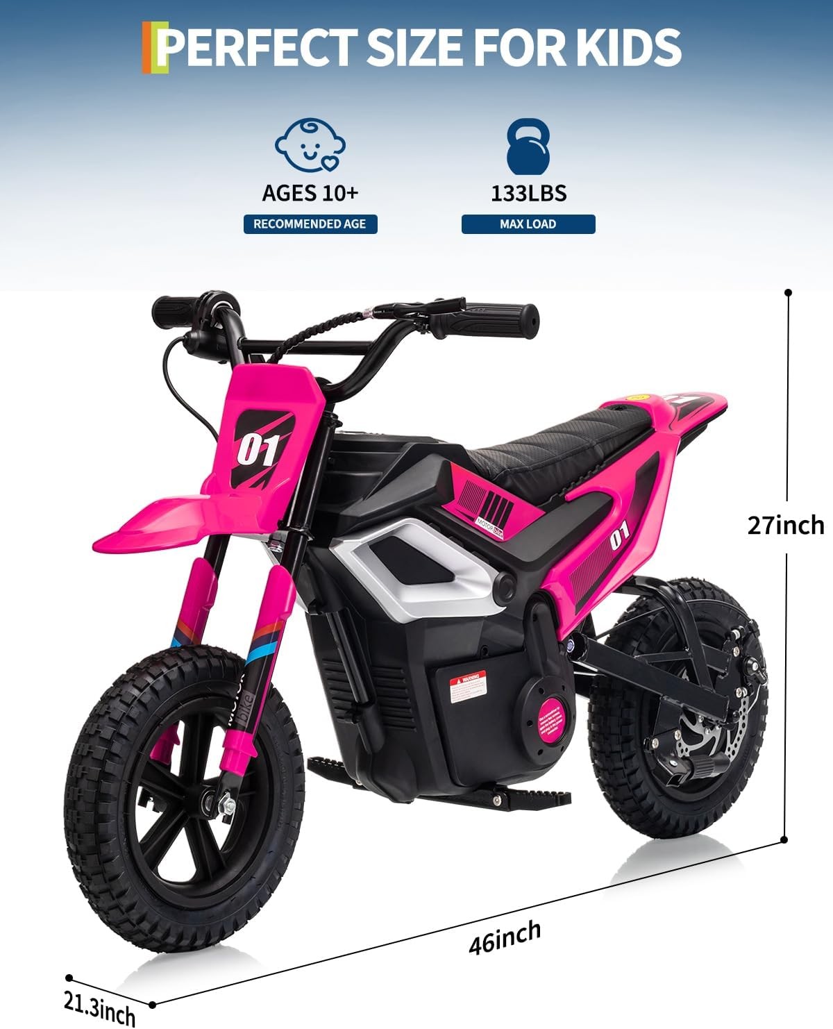 24V 350W Kids Electric Dirt Bike, 13.67 MPH, 12-Mile Range with Rear Suspension