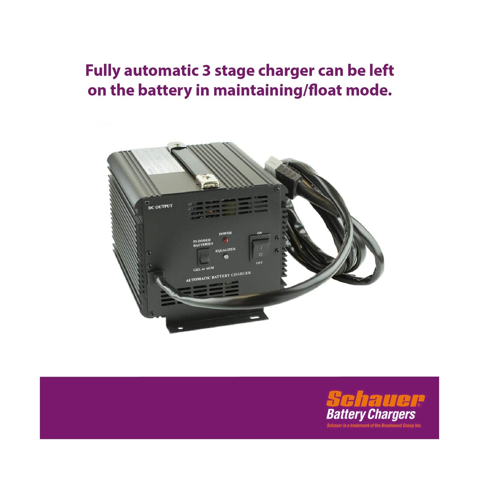 Schauer JAC1548H 48 Volt Charger for Club Car | 48V Golf Cart Battery Charger…