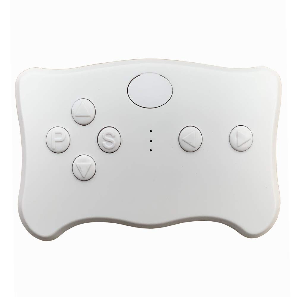 weelye RX23 (RX18) 12V 2.4G Bluetooth Remote Control and Receiver for Small