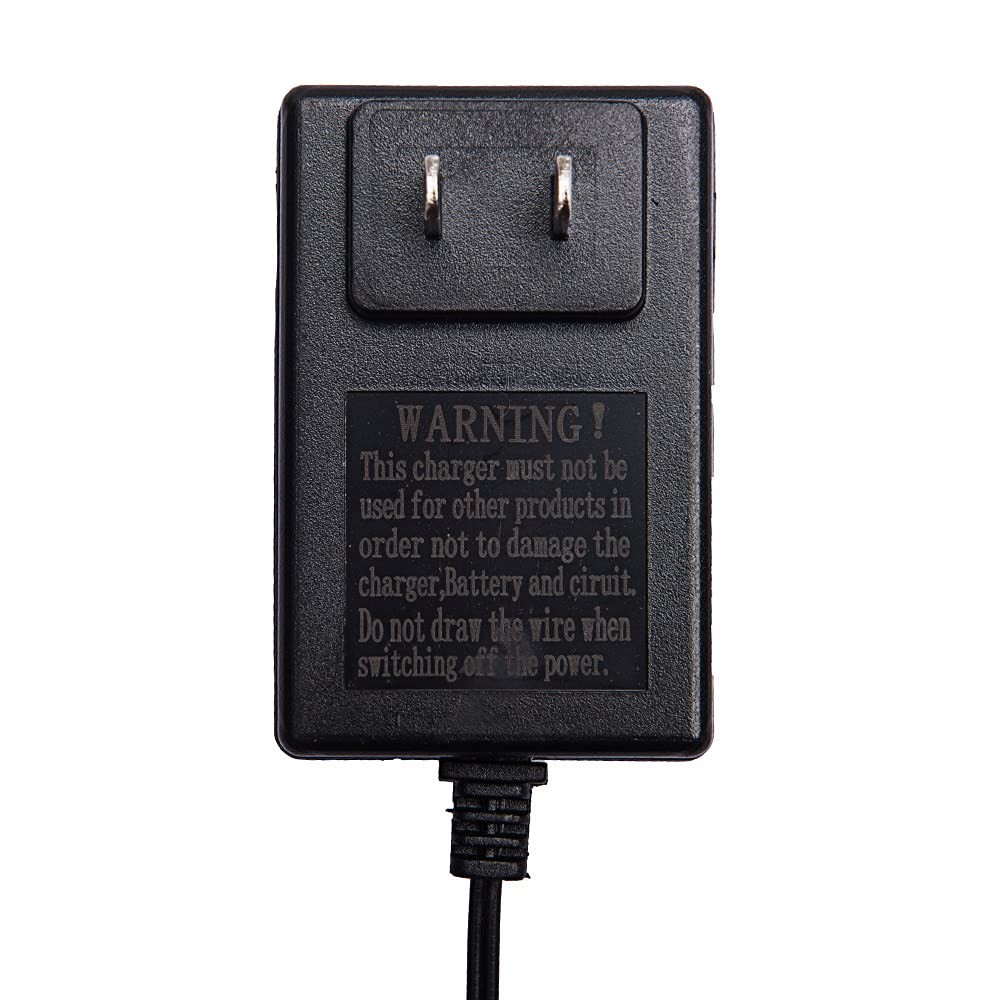 12 Volt Charger for 12V Kids Powered Ride On Car, 12V0.9A a Large