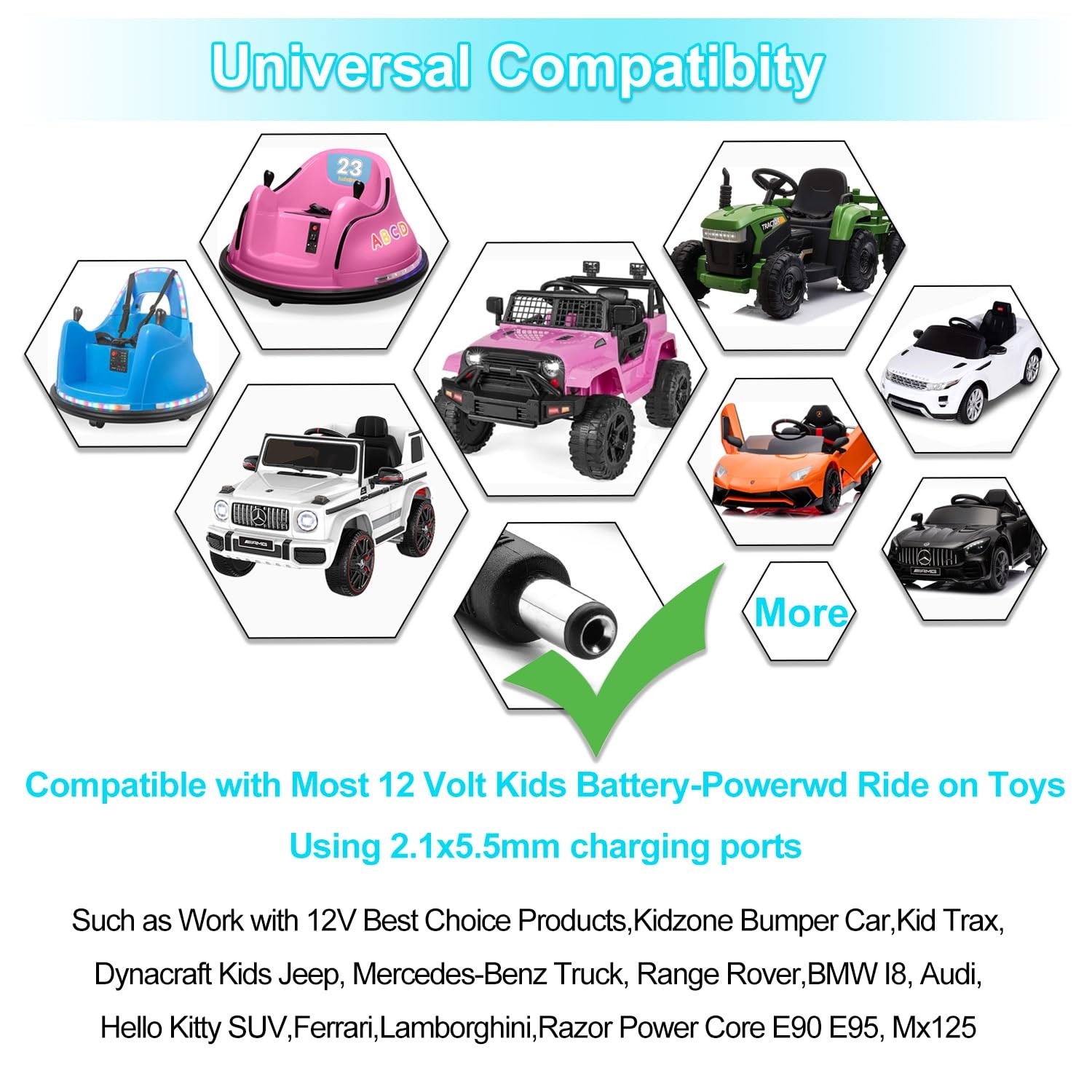 FLHFULIHUA 12 Volt Battery Charger for Kids Ride on Toys – Universal Charger…