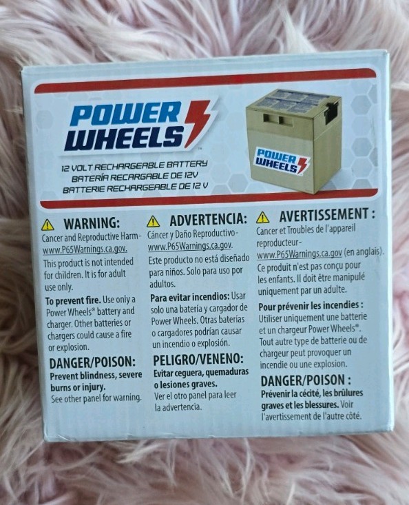 Power Wheels Genuine 12V Rechargeable Replacement Battery G5894 Fisher-Price New