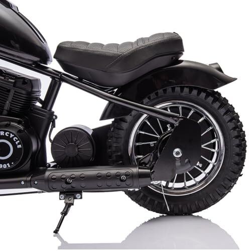 Kids Electric Dirt Bike 24V 250W, LED Light Motorcycle for Children 132 lbs