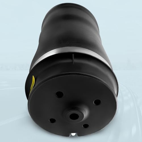 Air Ride Suspension Spring Bag for Benz R320 R350 R500 R550 R63 AMG OEM