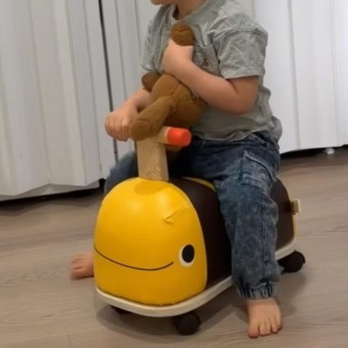 B. toys Wooden Bee Ride-On -Boom Buggy Toddler Push Toy,Physical Fitness Builder