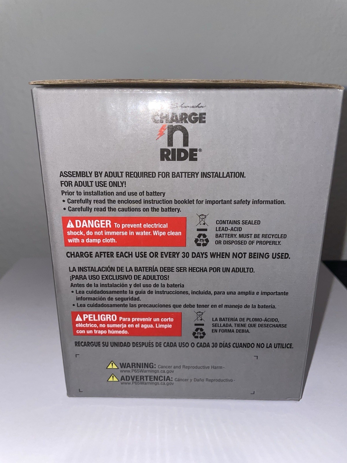 Schumacher TB3 Charge n Ride 12V 9.5Ah Replacement Battery for Power Wheels