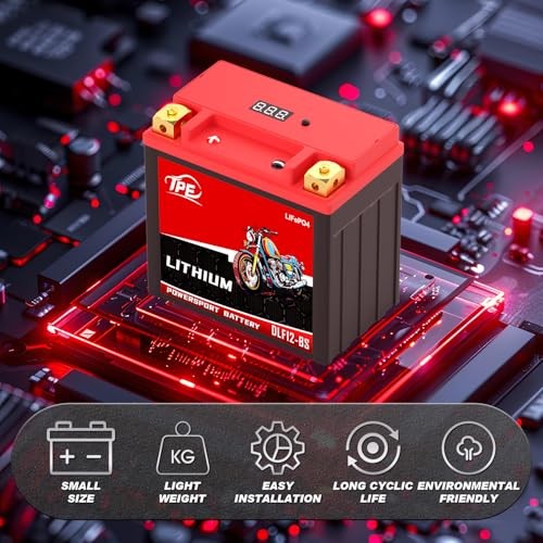 Lithium Motorcycle Battery-BS 12V, Lightweight LiFePO4 Replacement, High YTX12