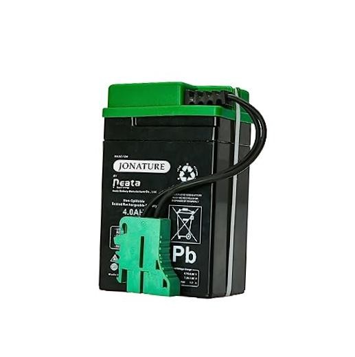 6V Battery for Peg Perego Lil Tractor and Trailer/for Santa Fe Train 6V 4AH