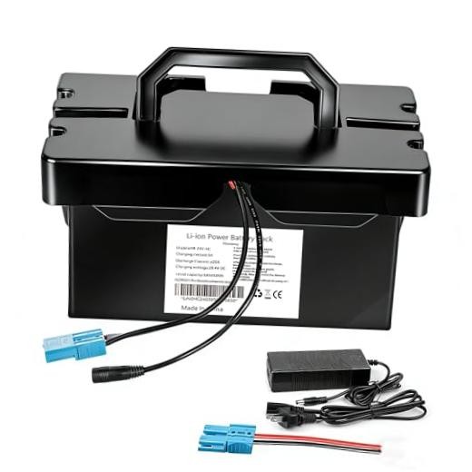 24V8Ah Lithium Battery for Ride On Toys & Cars, Compatible 24V8AH(with charger)