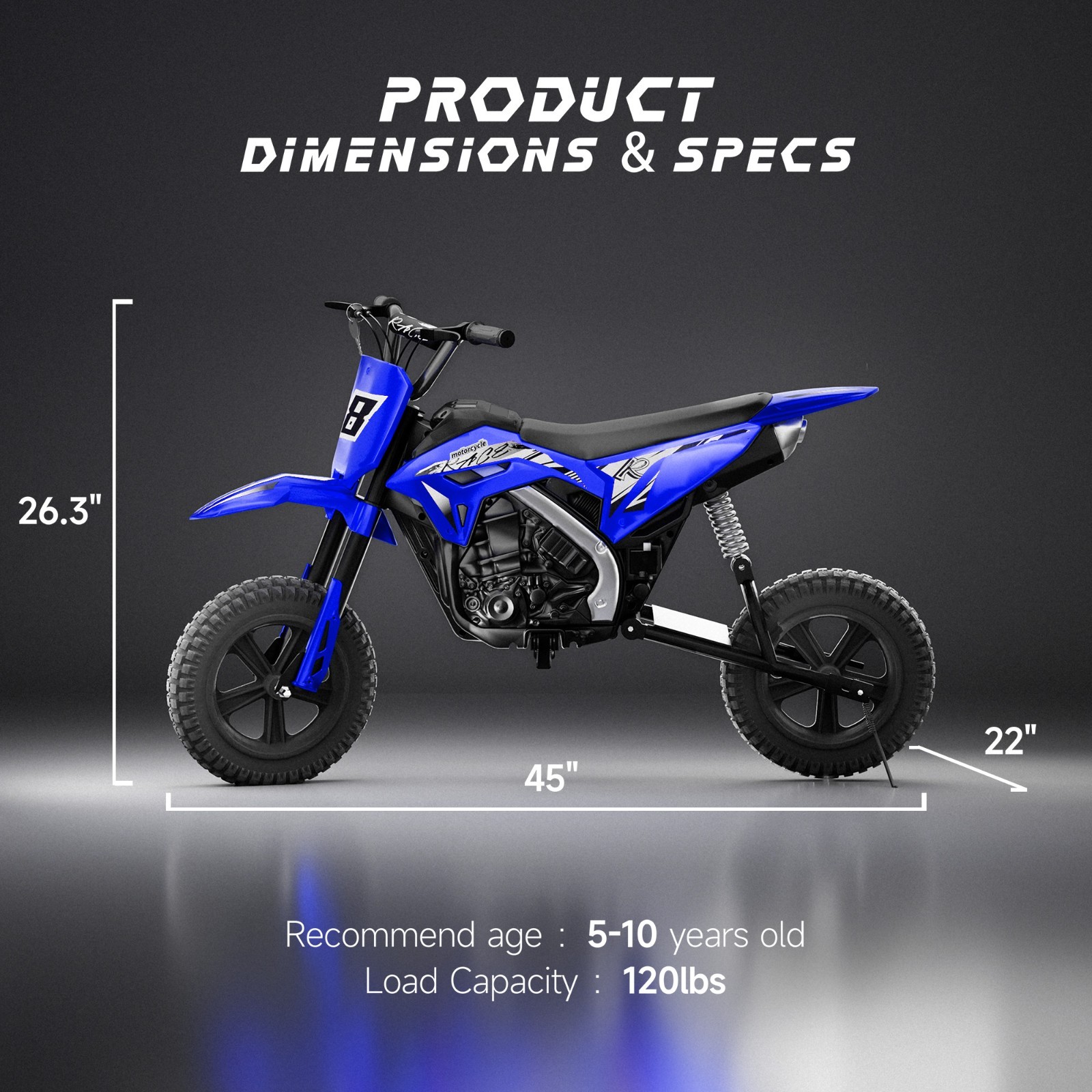 24V Dirt Bike 11MPH 350W Motor Kids Electric Motorcycle Ride on with Drum Brakes