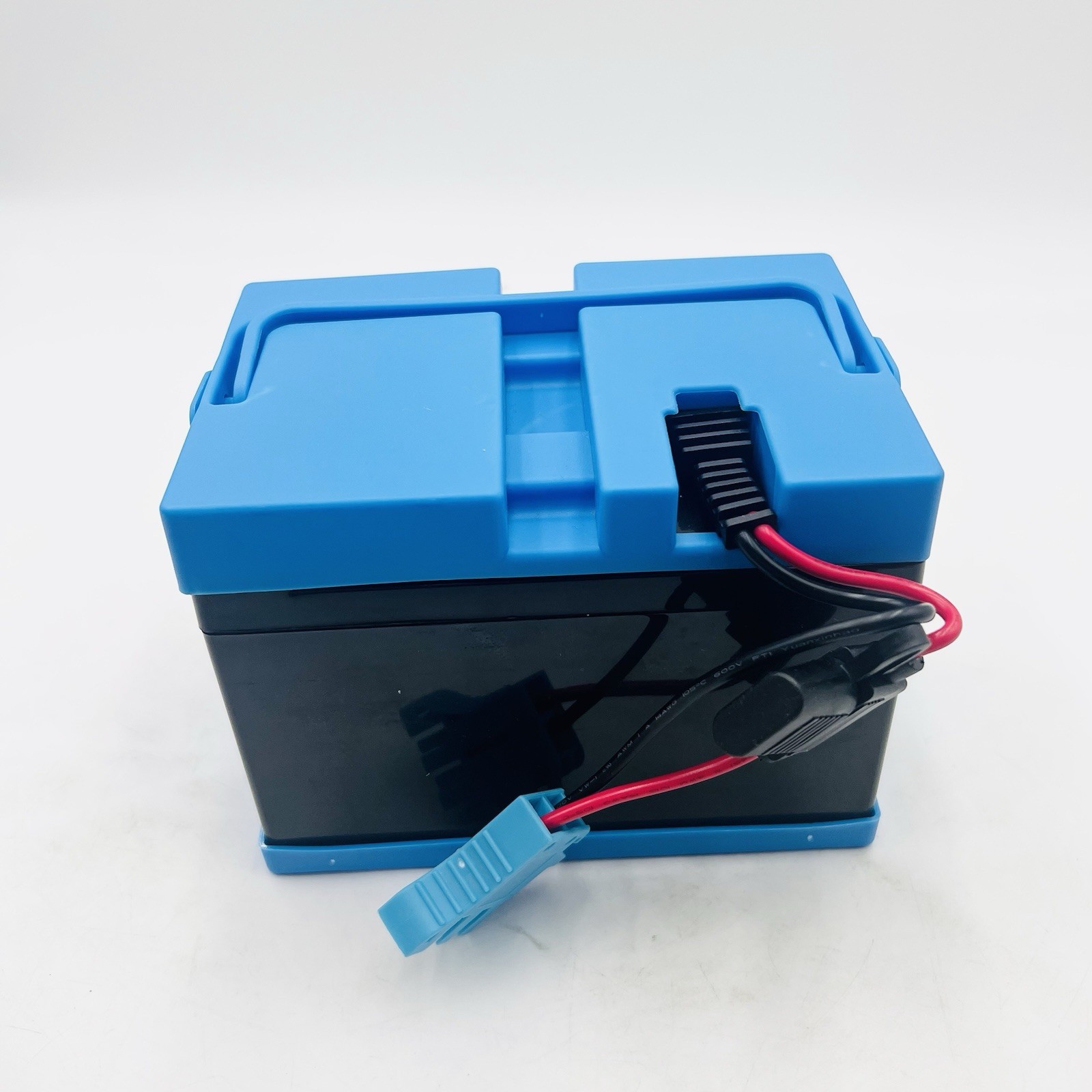 12 Volt Battery for Peg Perego John Deere Gator Polaris Gaucho Rock-in-Chase