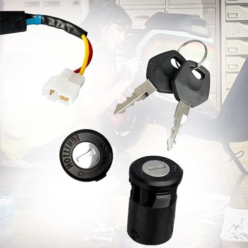 Ignition Key Switch Lock 2 Wire Power Start Switch Starter Switch with 2 Keys