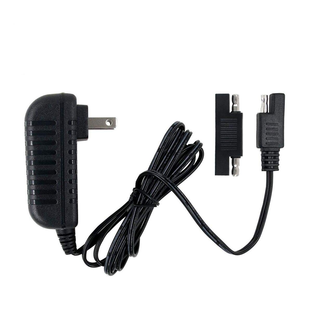 6V Replacement Charger Fit for Disney Quad Pacific Cycle Marvel The Large