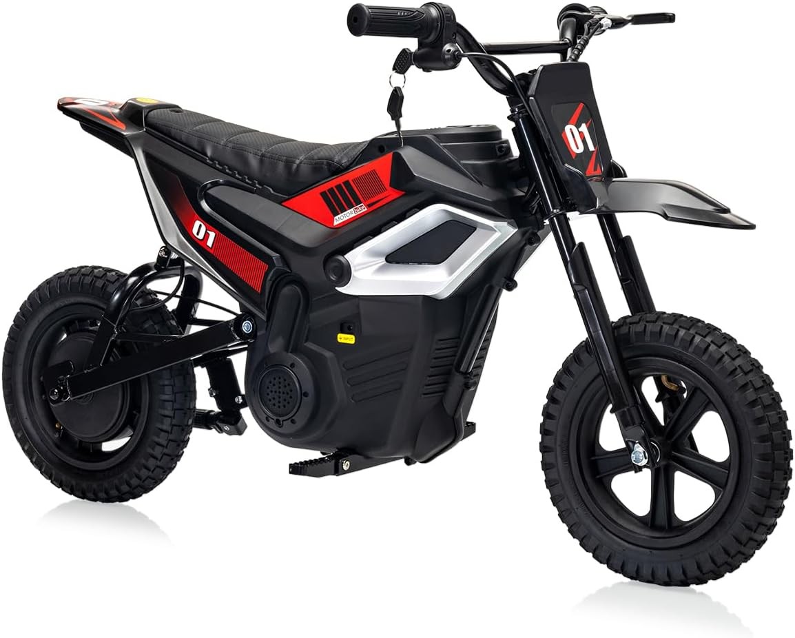 24V 350W Kids Electric Dirt Bike, 13.67 MPH, 12-Mile Range with Rear Suspension