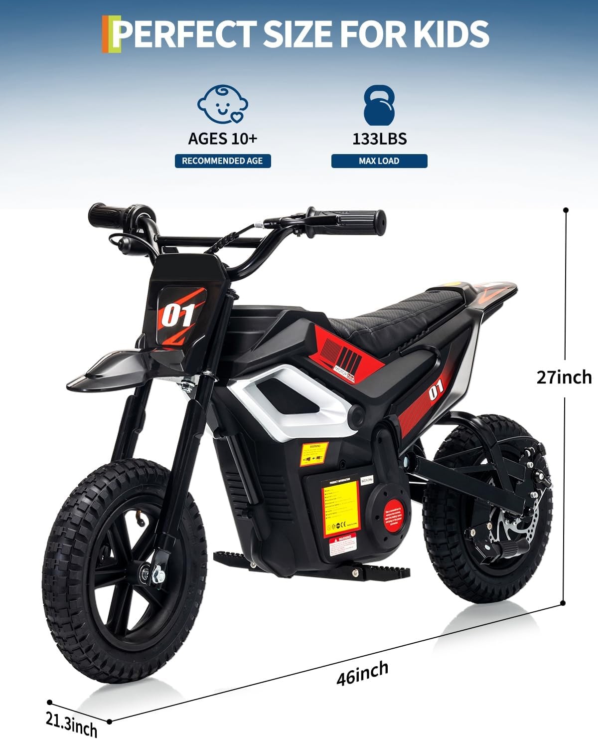 24V 350W Kids Electric Dirt Bike, 13.67 MPH, 12-Mile Range with Rear Suspension