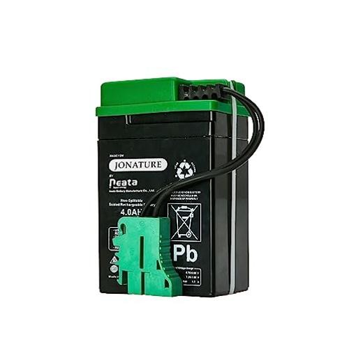 6V Battery for Peg Perego Lil Tractor and Trailer/for Santa Fe Train 6V 4AH