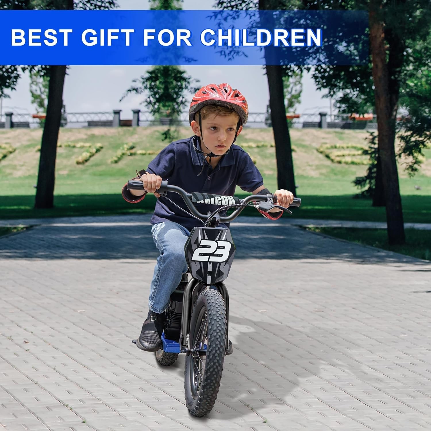 250W 24V Kids Electric Dirt Bike 16” Tire 3-Speed E-Balance Bike for 8-12
