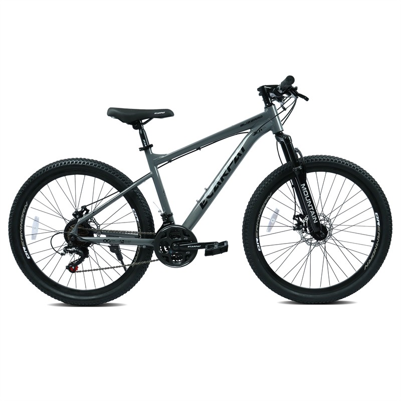 26in Mountain Bike w/ Disc Brakes 21-Speed Bicycle for Trail Riding & Touring