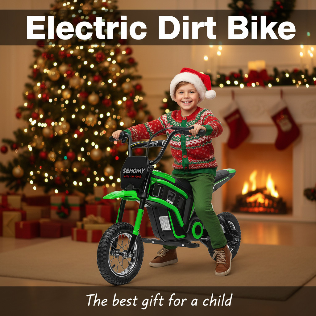 24V Electric Dirt Bike Off-Road Motorcycle For Kids 350W Motor Pneumatic Tire​