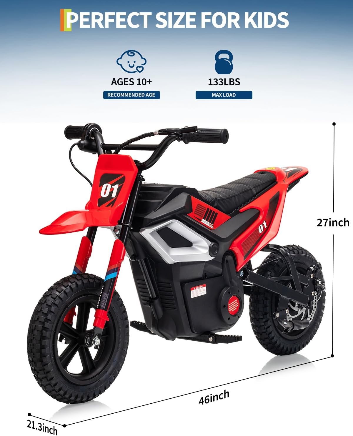 24V 350W Kids Electric Dirt Bike, 13.67 MPH, 12-Mile Range with Rear Suspension