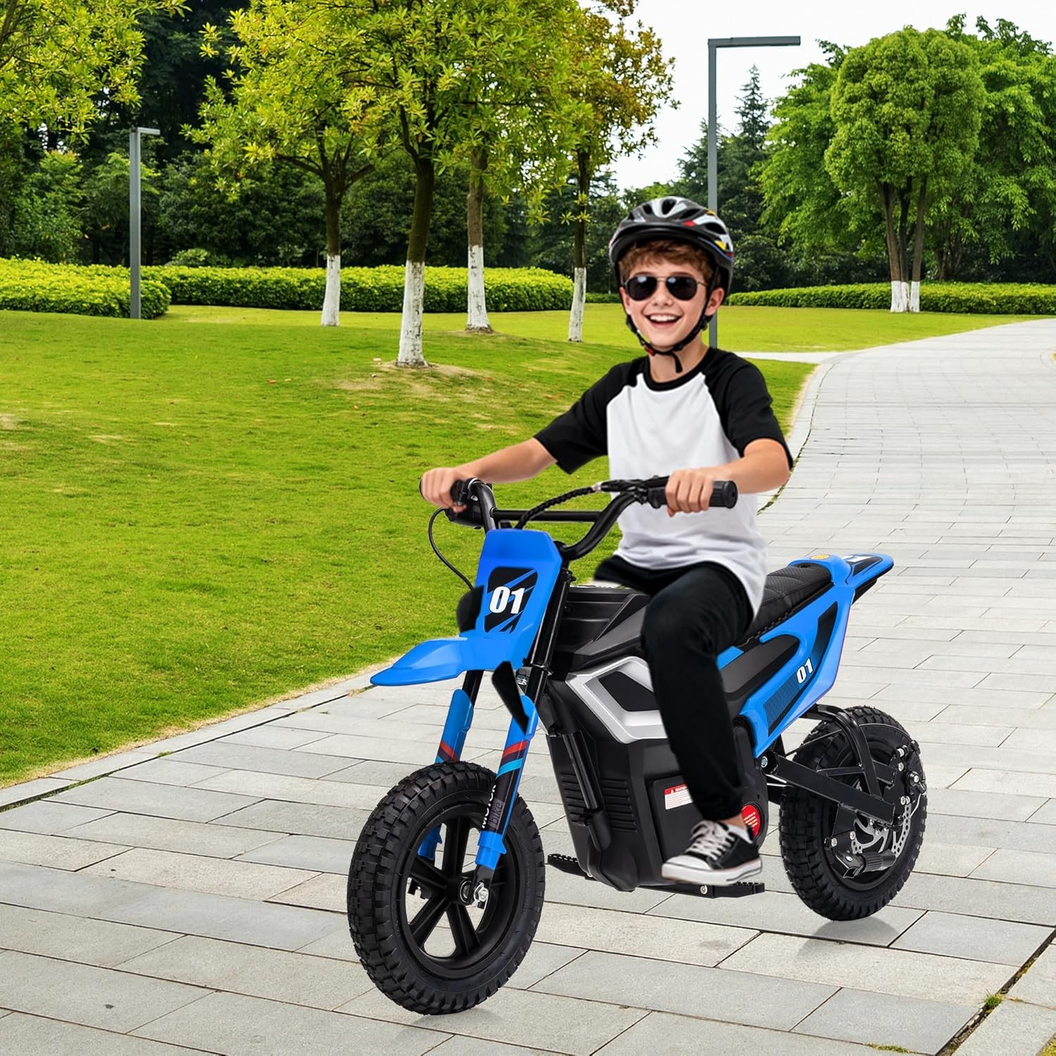 24v Ride on Motorcycle for Kids 350w Mini Dirt Bike 14 MPH Blue