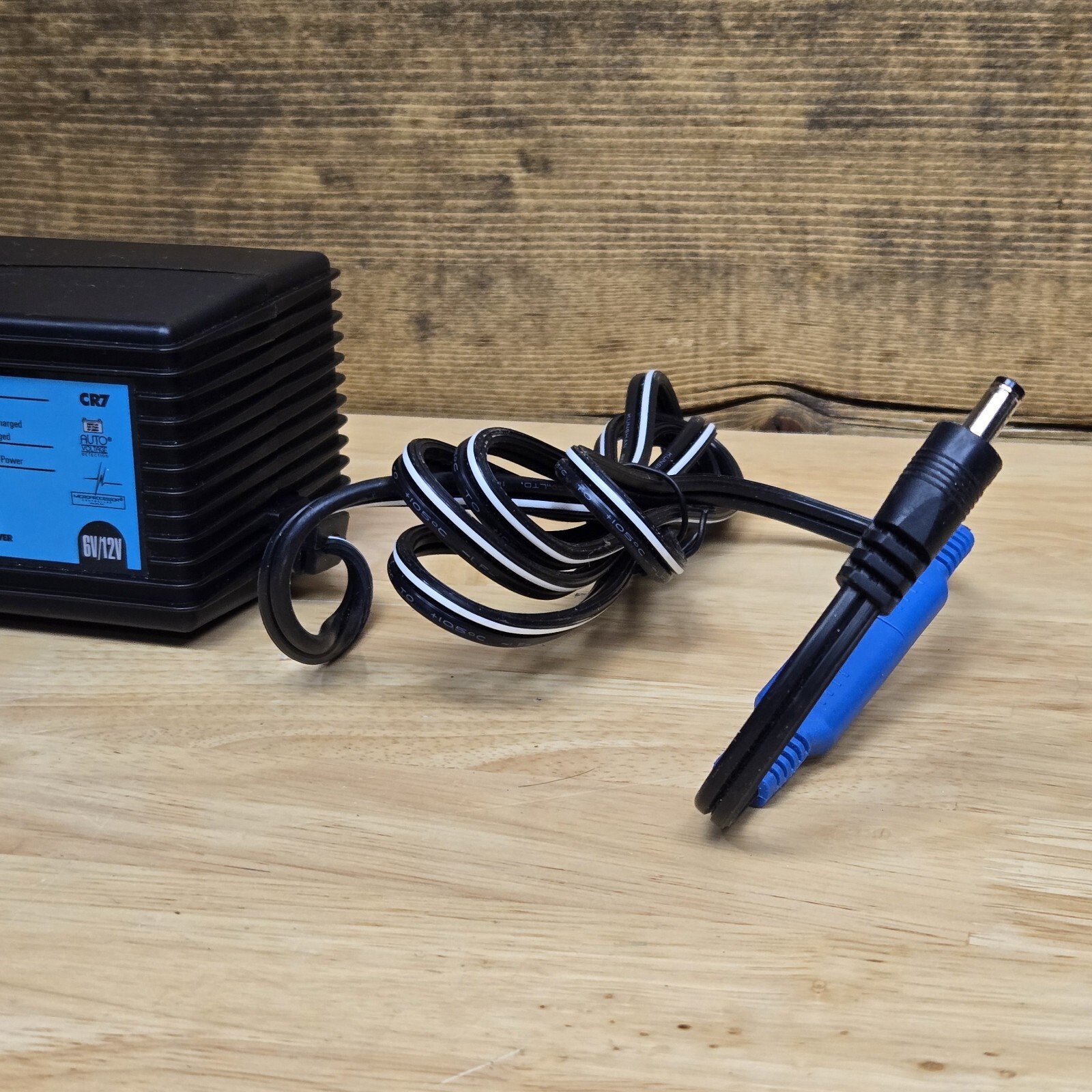 Schumacher CR-7 Charge ‘n Ride 6/12V Universal Battery Charger Perego,Razor