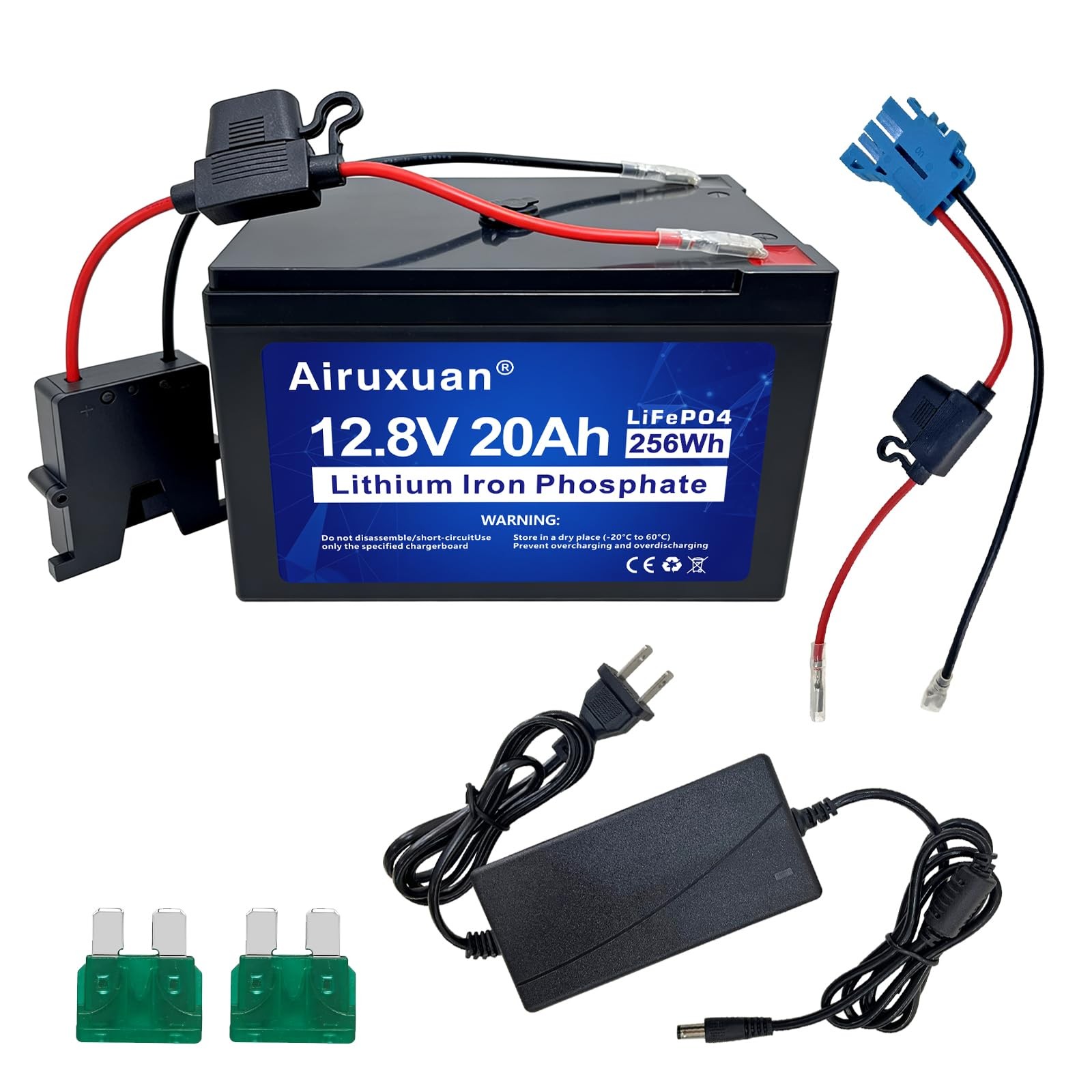 12V 20Ah LiFePO4 Battery, 2000+ Deep Cycle Rechargeable Battery with Built-in…