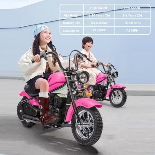 Kids Electric Dirt Bike 24V 250W, LED Light Motorcycle for Children 132 lbs
