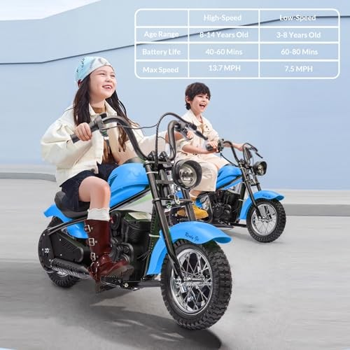 Kids Electric Dirt Bike 24V 250W, LED Light Motorcycle for Children 132 lbs