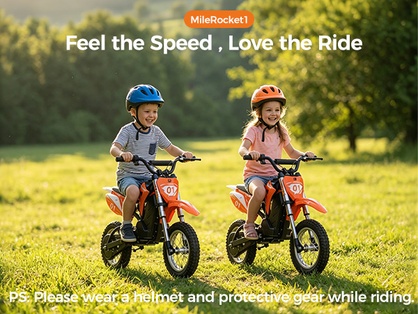 Kids Motorcycle Mini Electric Dirt Bike 36V 300W 3Speed 12.4 Miles Gift