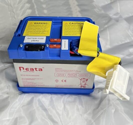 12 Volt Battery and Charger Compatibal with for Motion Trendz Action Wheels