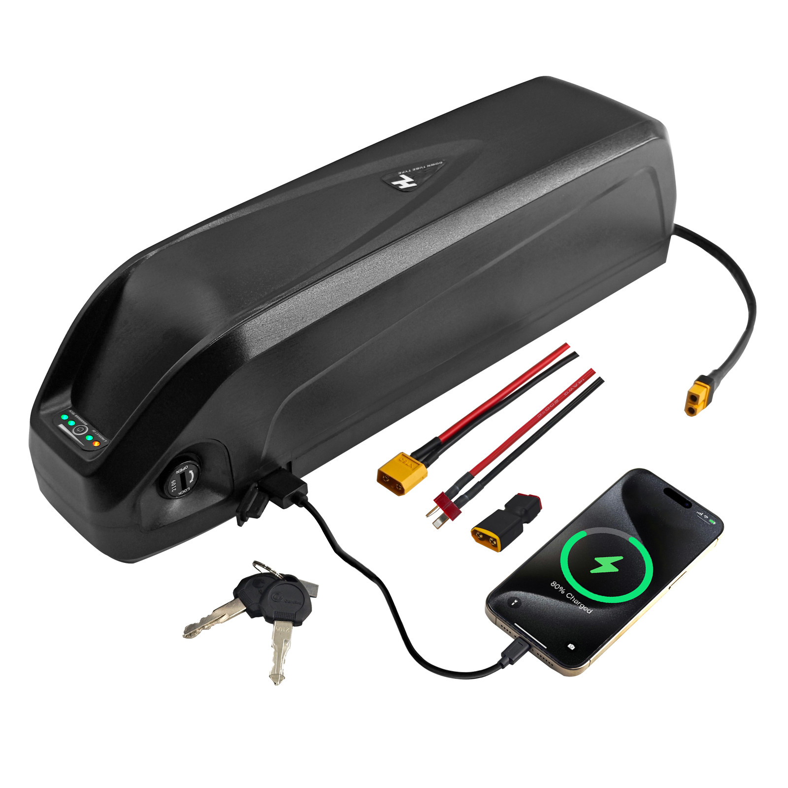 48V Electric Lithium Battery 48 Volt 10Ah 16Ah 20Ah Battery for 0-1500W Motor