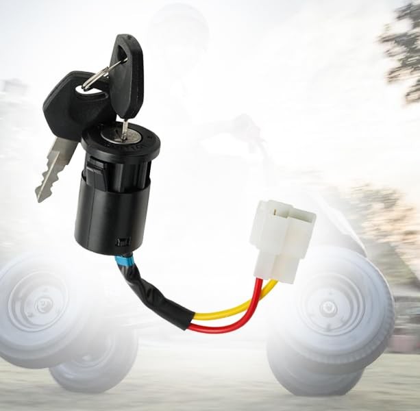 Ignition Key Switch Lock 2 Wire Power Start Switch Starter Switch with 2 Keys