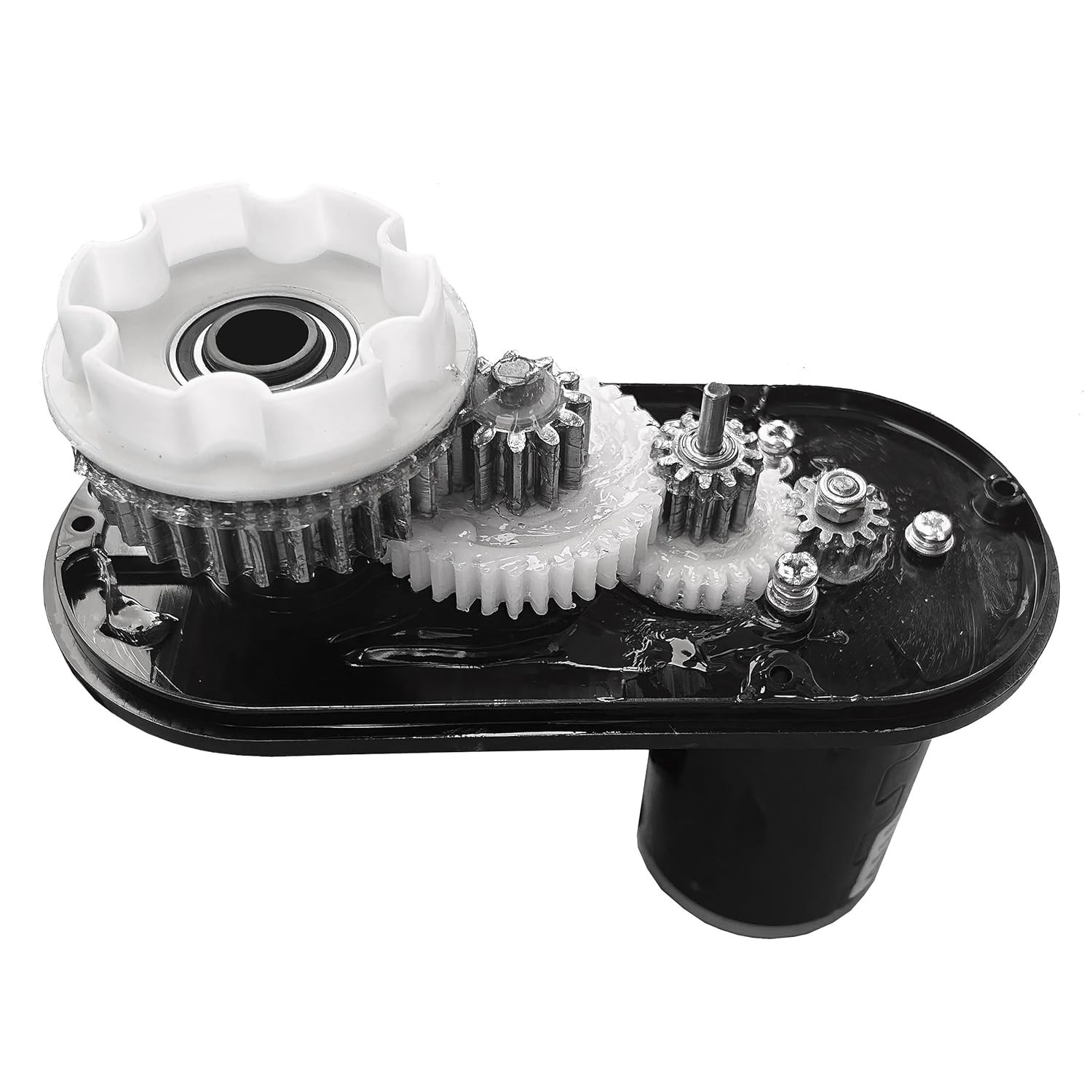 24V Torque Motor Gearbox for Dynacraft Realtree=